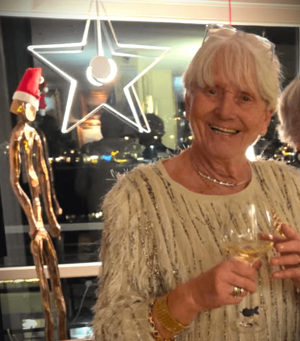 Status for SPLEIS-aksjonen